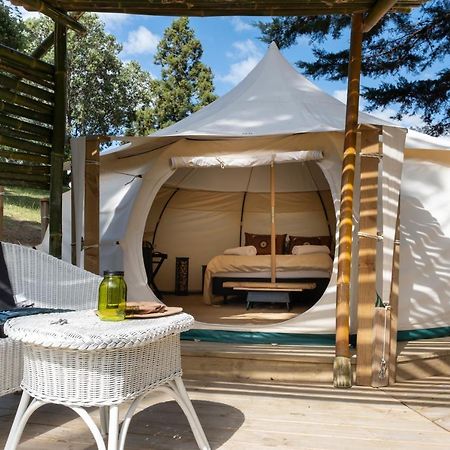 Kerikeri Glamping Ξενοδοχείο Εξωτερικό φωτογραφία
