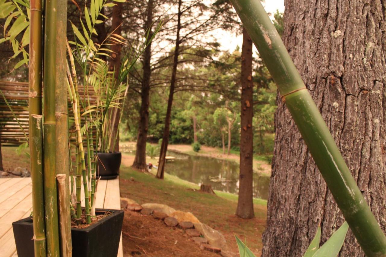 Kerikeri Glamping Ξενοδοχείο Εξωτερικό φωτογραφία