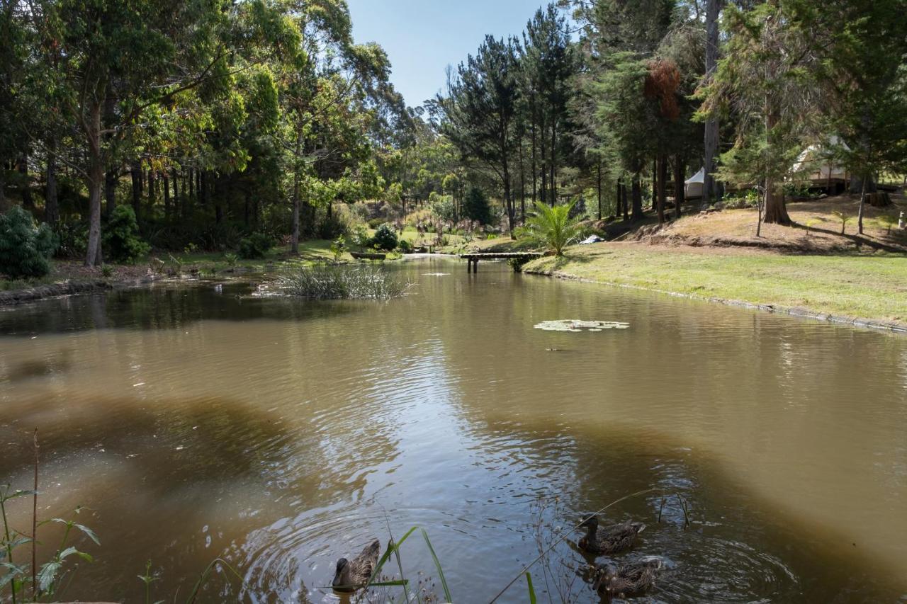 Kerikeri Glamping Ξενοδοχείο Εξωτερικό φωτογραφία
