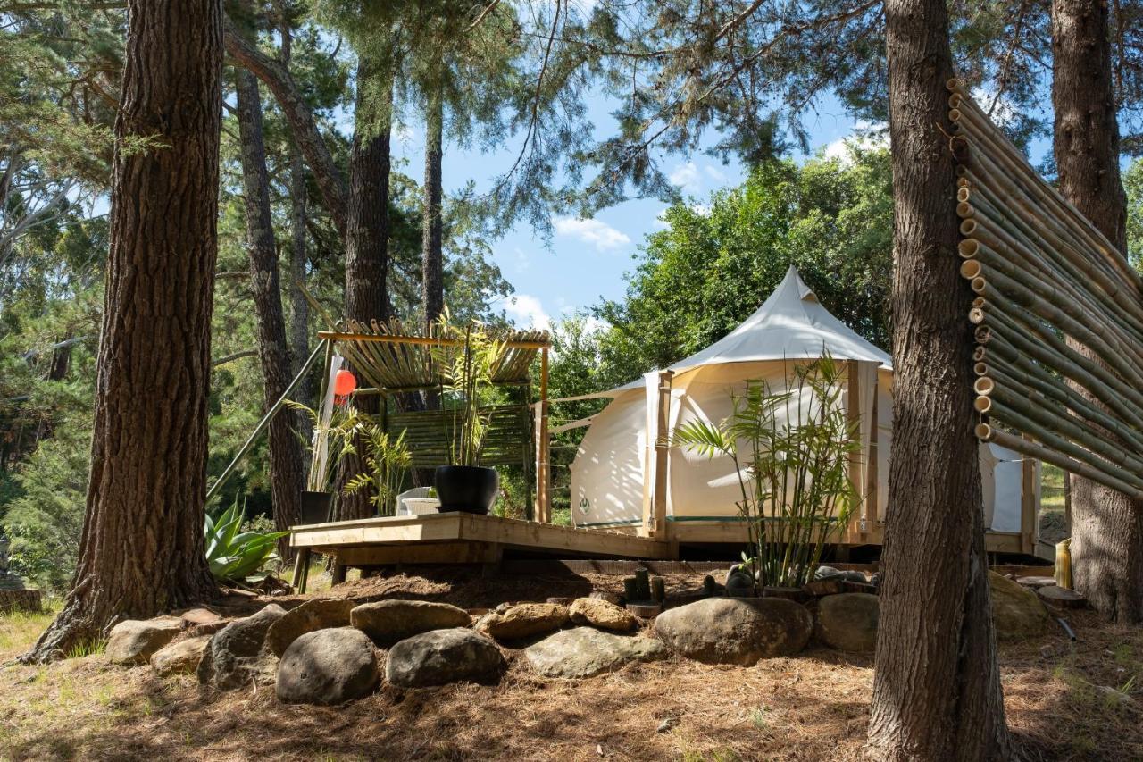 Kerikeri Glamping Ξενοδοχείο Εξωτερικό φωτογραφία