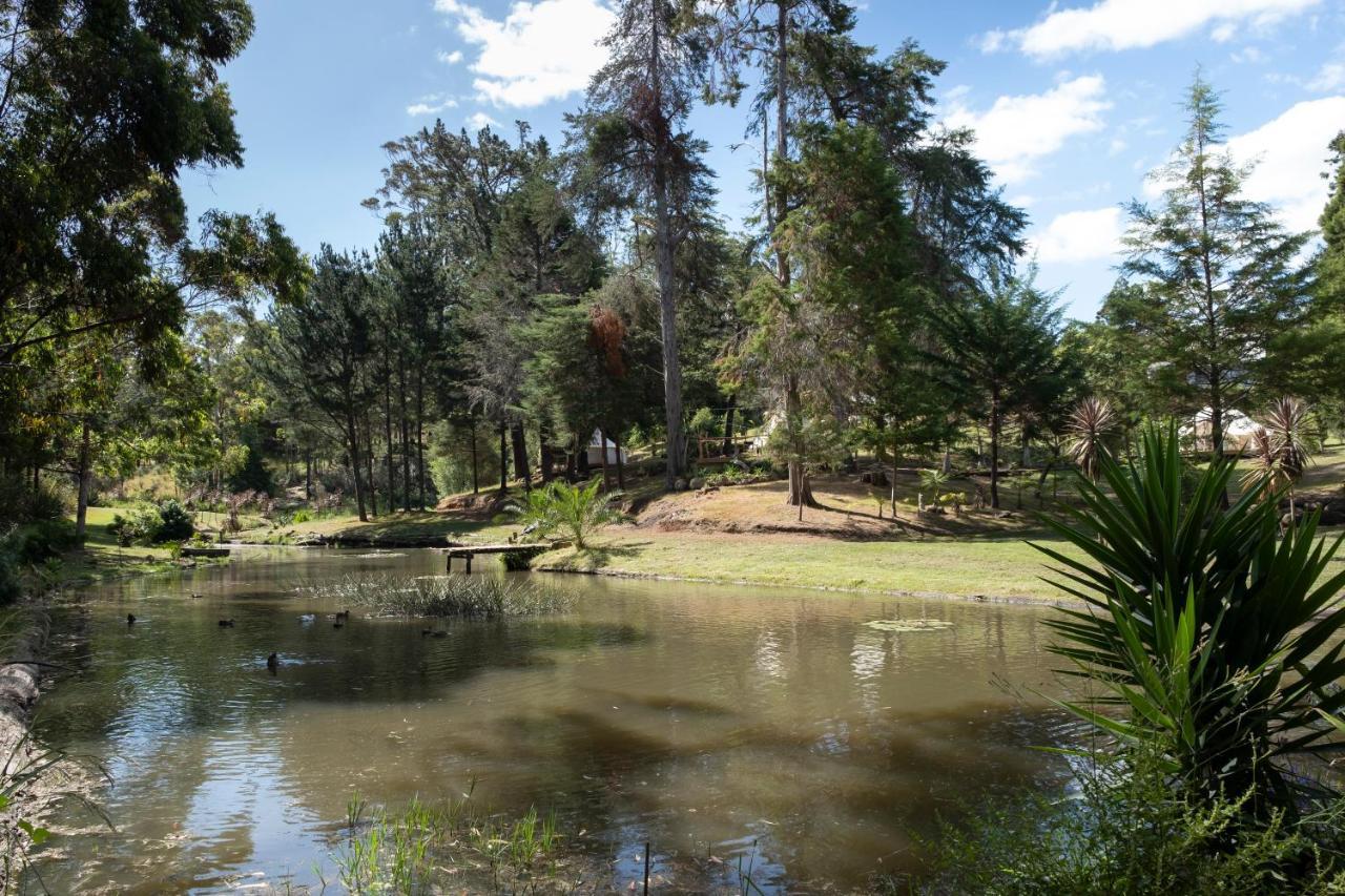 Kerikeri Glamping Ξενοδοχείο Εξωτερικό φωτογραφία