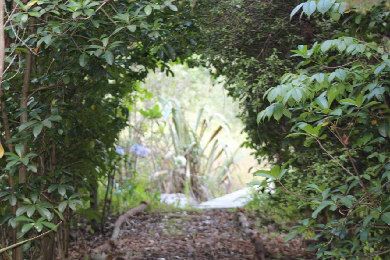 Kerikeri Glamping Ξενοδοχείο Εξωτερικό φωτογραφία
